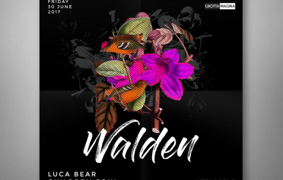 Flyer Walden